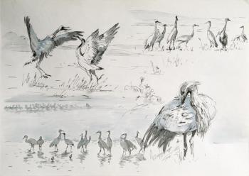 Untitled (Flock Of Birds). Miroshnikov Dmitriy