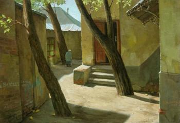 Yard with a through-passage ( ). Paroshin Vladimir