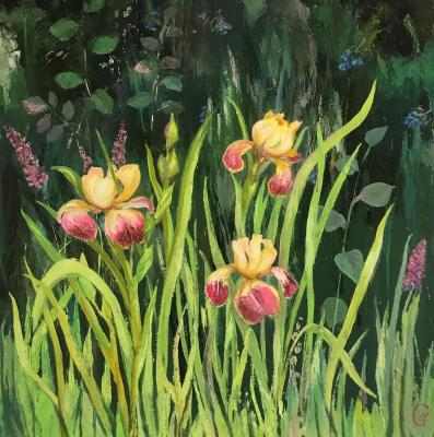 After the Rain (Yellow Irises Art Work). Gerasimova Natalia
