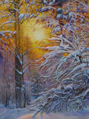 Winter light. Snow covered forest. Kudryashov Galina