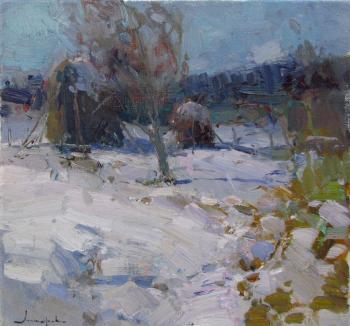 ������� ���������� ����. ����