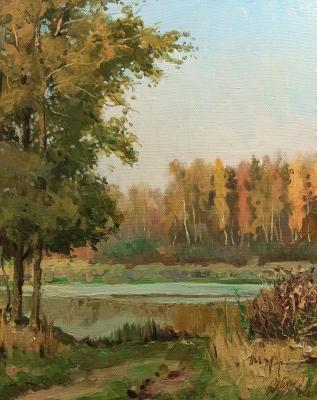 Autumn is getting dark. Mukhin Boris