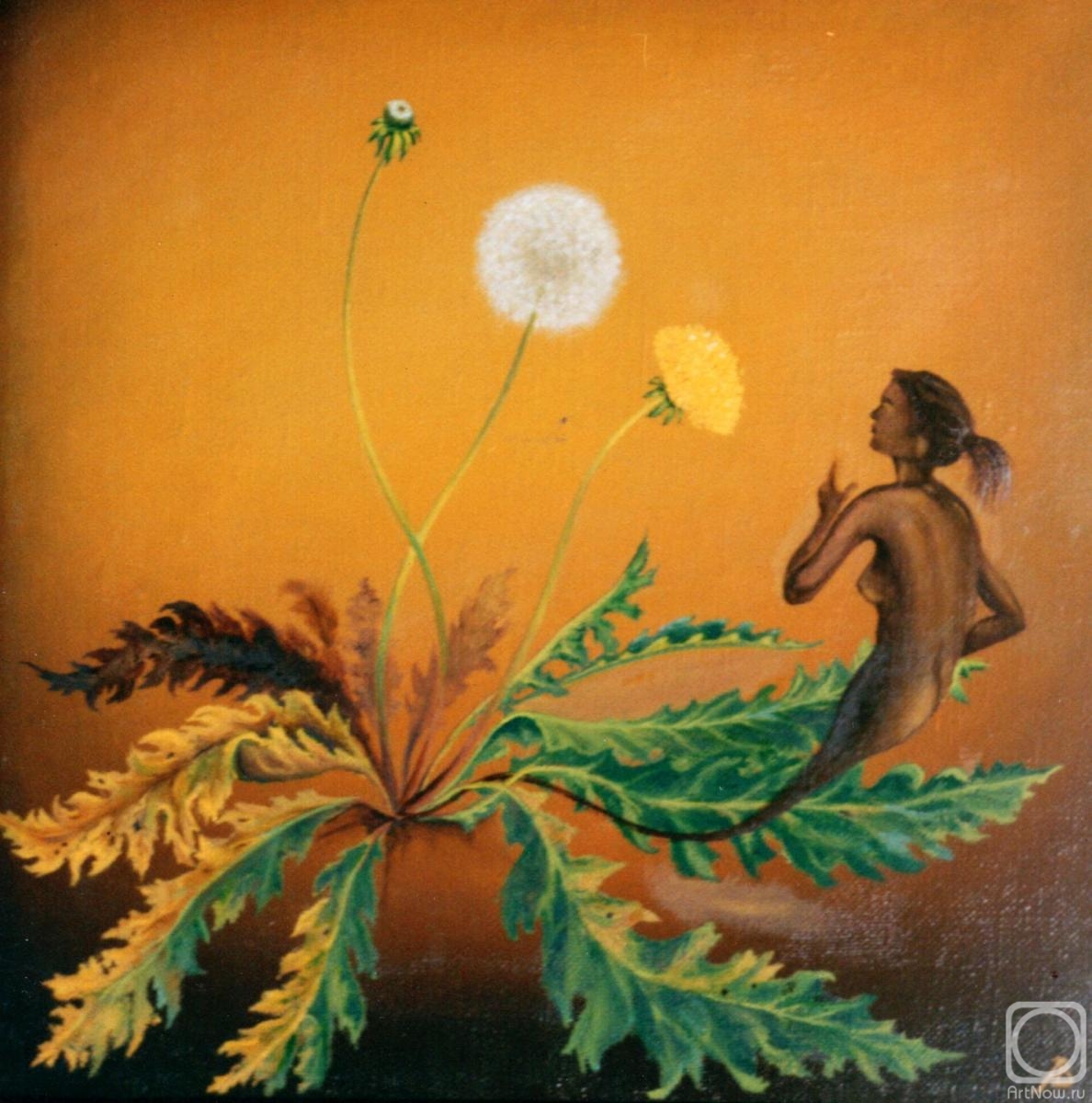 ������� ������ �� ������. ������� ��������. ������ �� ��������