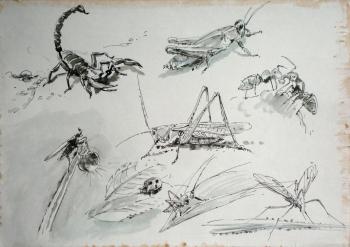 Untitled (Grasshoppers). Miroshnikov Dmitriy