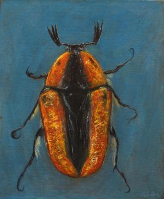 ������� �����������. ��� ����������