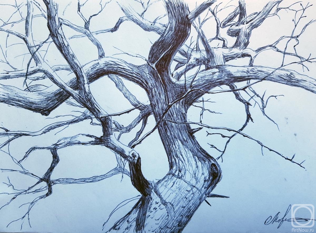 �������. �������� ������. ���