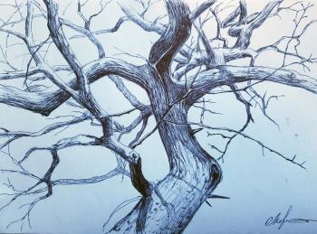 ������� ����