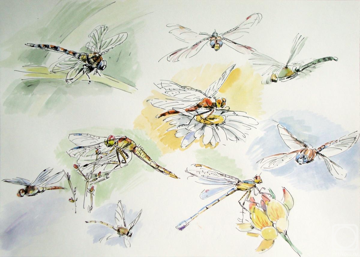 Miroshnikov Dmitriy. Dragonflies