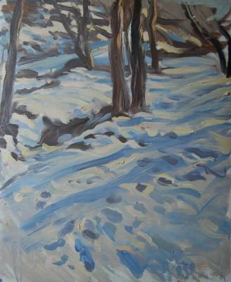 Painting March, long shadows. Dobrovolskaya Gayane