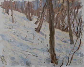 March, ravine slope. Dobrovolskaya Gayane