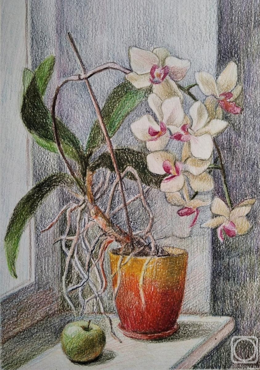 Rohlina Polina. Untitled