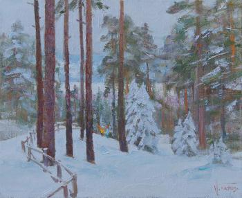 Snowy winter ( ). Panov Igor