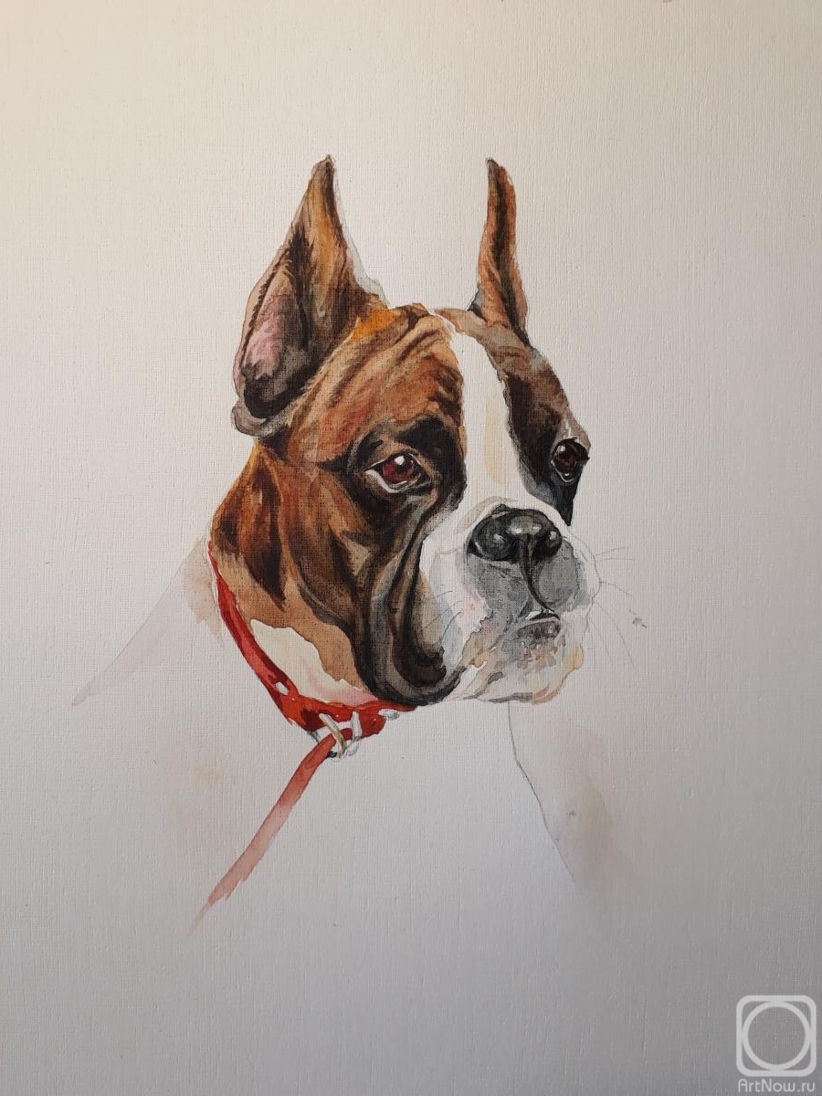 �������. �������� ������. Zetta