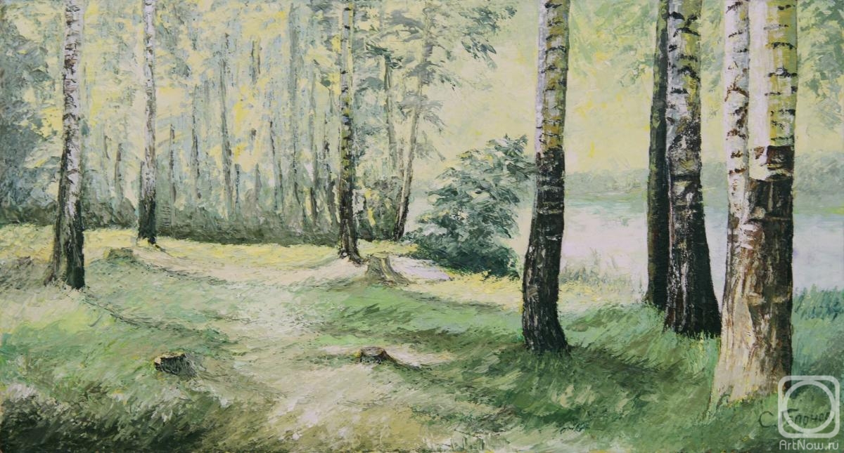 Gaponov Sergey. Birch grove