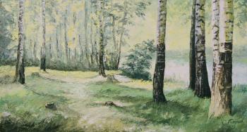 Birch grove. Gaponov Sergey