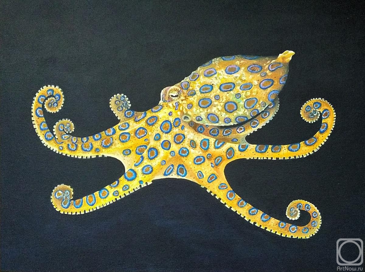 Guseva Alyona. The depths of the water. Octopus