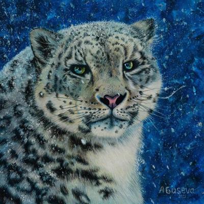 Snow leopard. Guseva Alyona