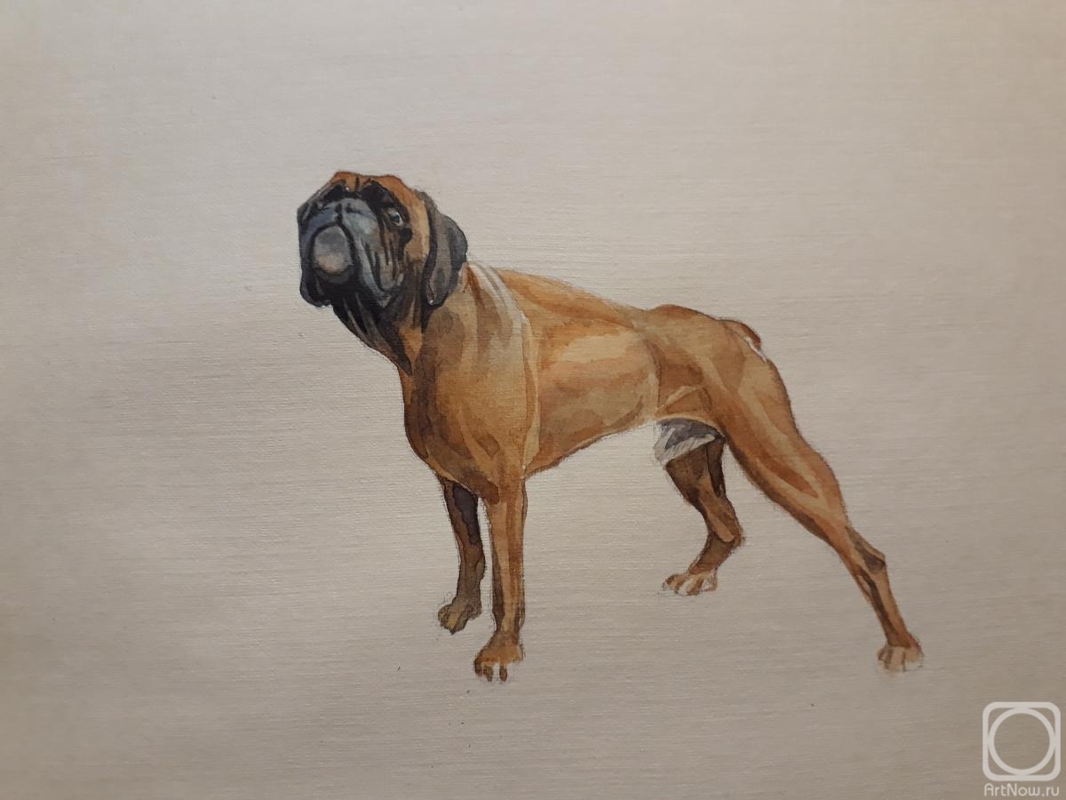 �������. �������� ������. ����