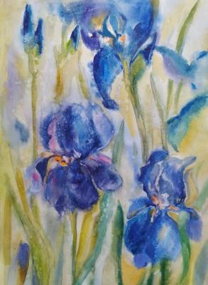 Blue irises ( ). Ermalyugina Liliya
