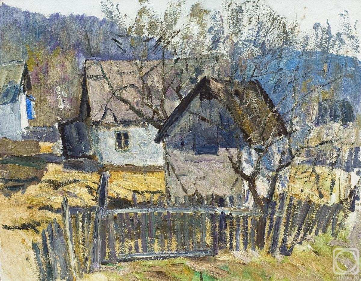 Mekhed Vladimir. A village in the mountains