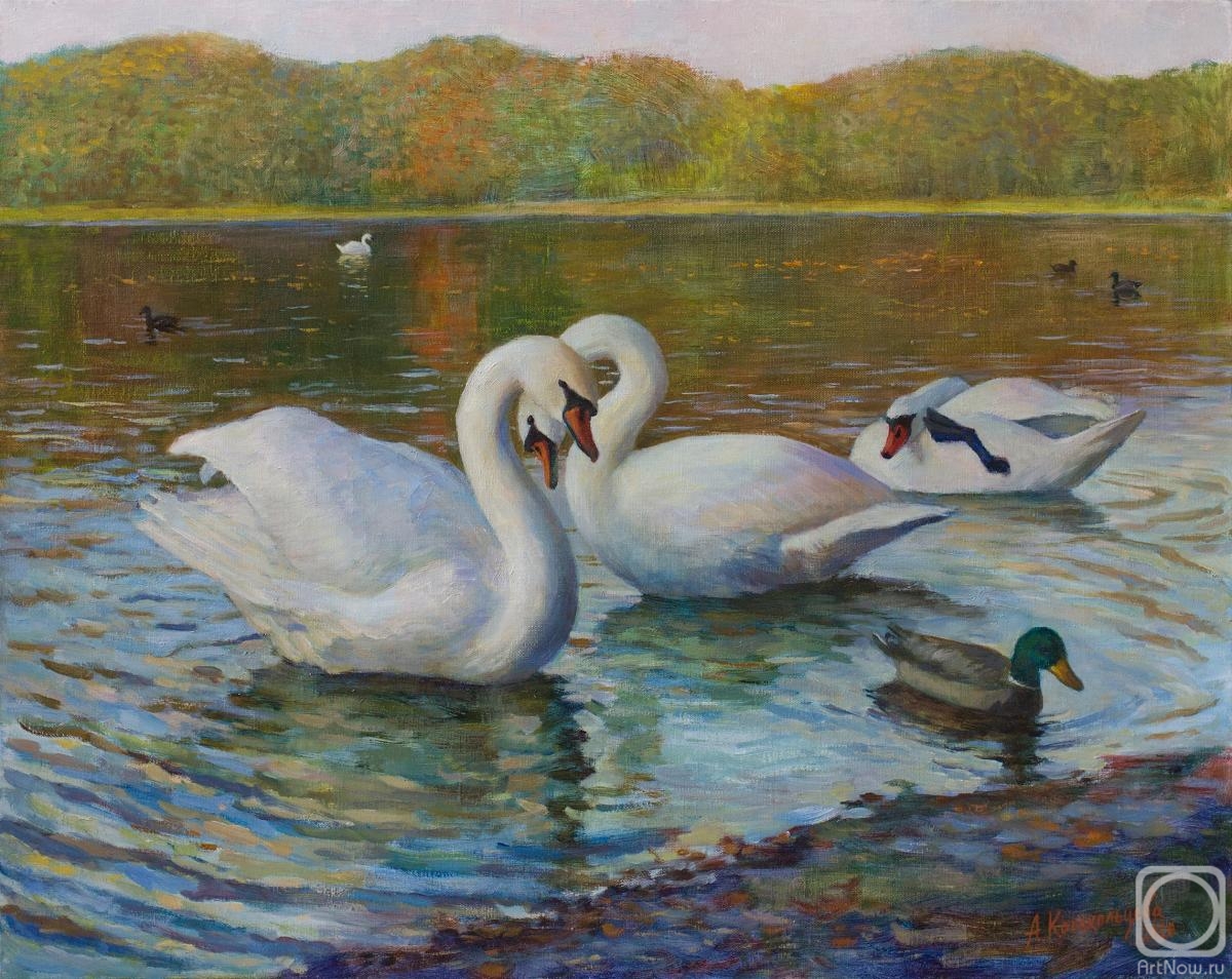 Kolokoltseva Aleksandra. Swan lake in Aschmann-park