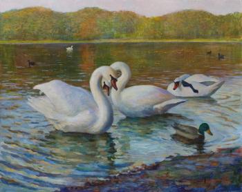 Swan lake in Aschmann-park. Kolokoltseva Aleksandra