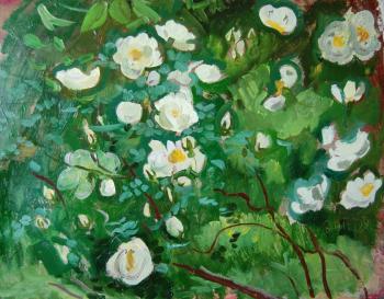 Painting White roses, bush. Dobrovolskaya Gayane