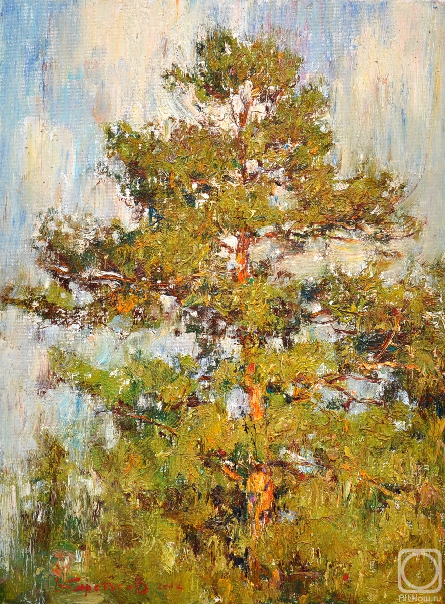 Korotkov Valentin. Pine tree