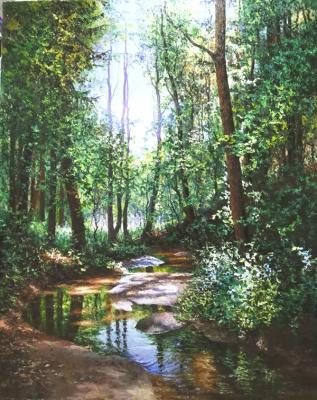 Sunny creek in the forest. Burmakin Evgeniy
