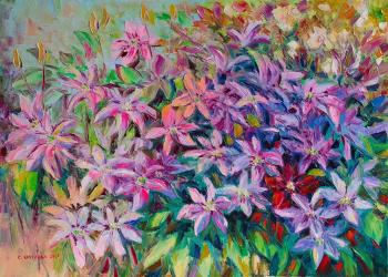 ���������. �������� ��������