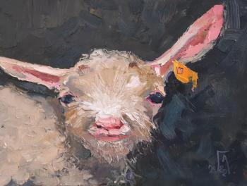 ������� ������ �����