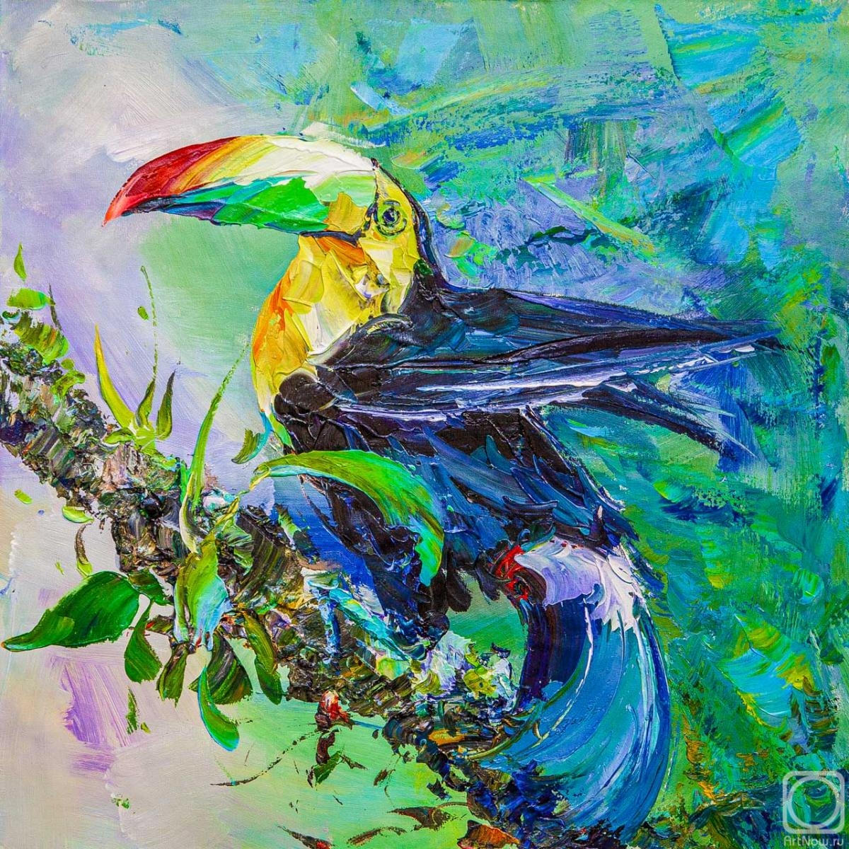 Rodries Jose. It's all about beauty. Toucan N4
