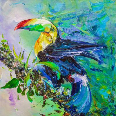 It's all about beauty. Toucan N4. Rodries Jose