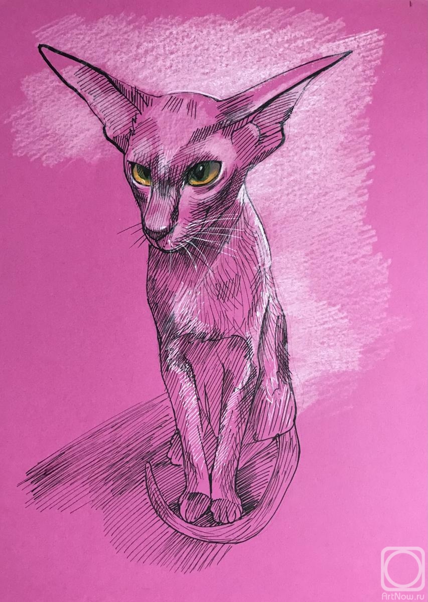 �������. �������� ������. ������������ ������� �����