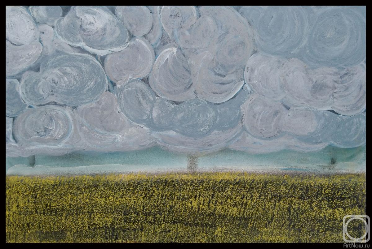 Martinov Ilia. Cloud fields