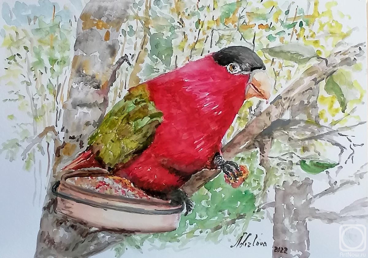 �������. ������� �������. ������� �������