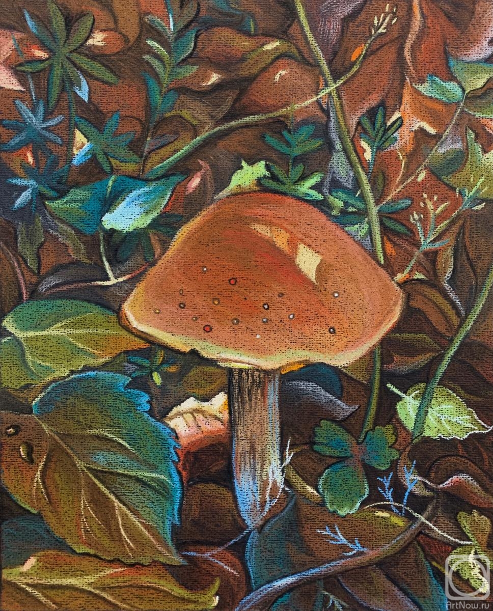 �������. ������ ��������. ������ �����������