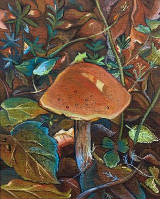 ������ �����������. ������ ��������