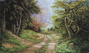 ������� ������ ���