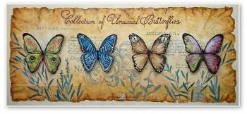 Collection of non-existent butterflies