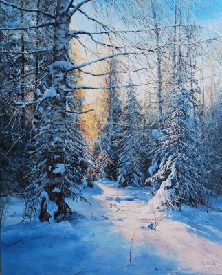 Winter sun rays (). Vokhmin Ivan