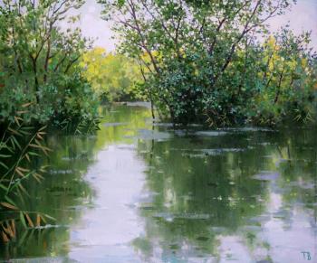 ������� ������������� ����