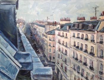 The roofs of paris. Stolyarova Olga