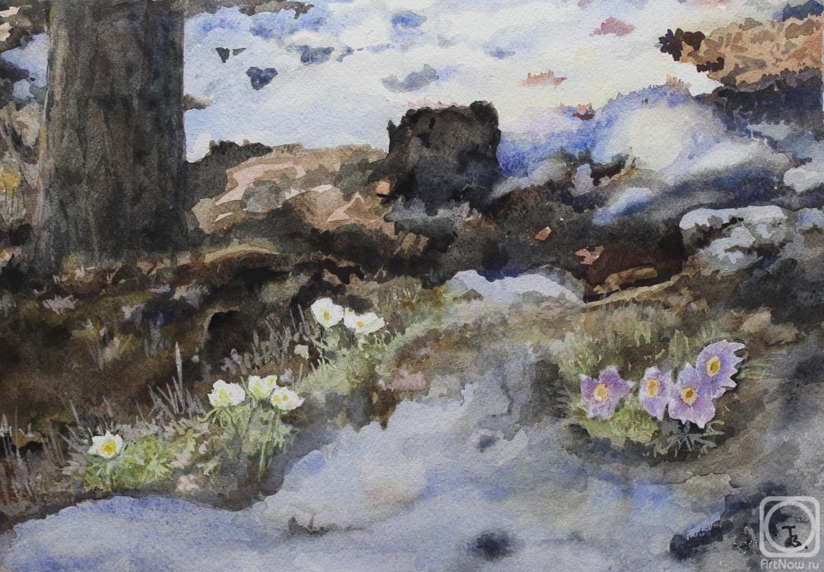 �������. ������� �����. �����������