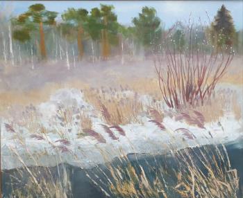 ������� �� ���������� ������