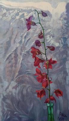 Orchid on a winter window (Orchid Painting). Dobrovolskaya Gayane