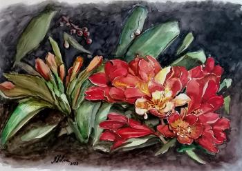 ������� �������� ����� �� ������ ����