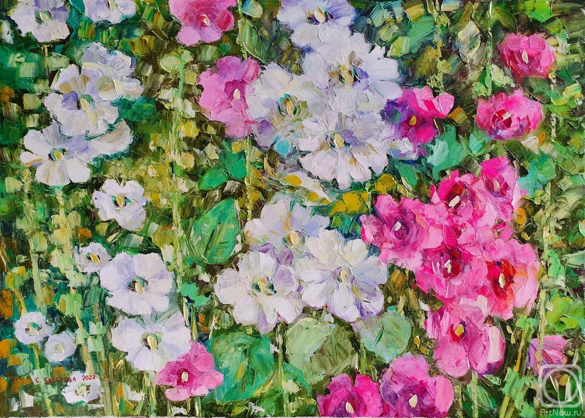 ������� ������ �� ������. �������� ��������. ������ �������