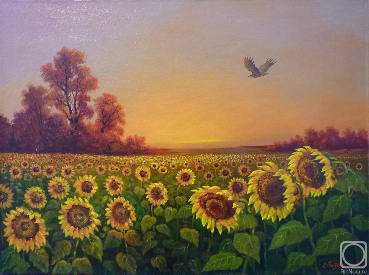 Litvinenko Gennadiy. Sunflower field