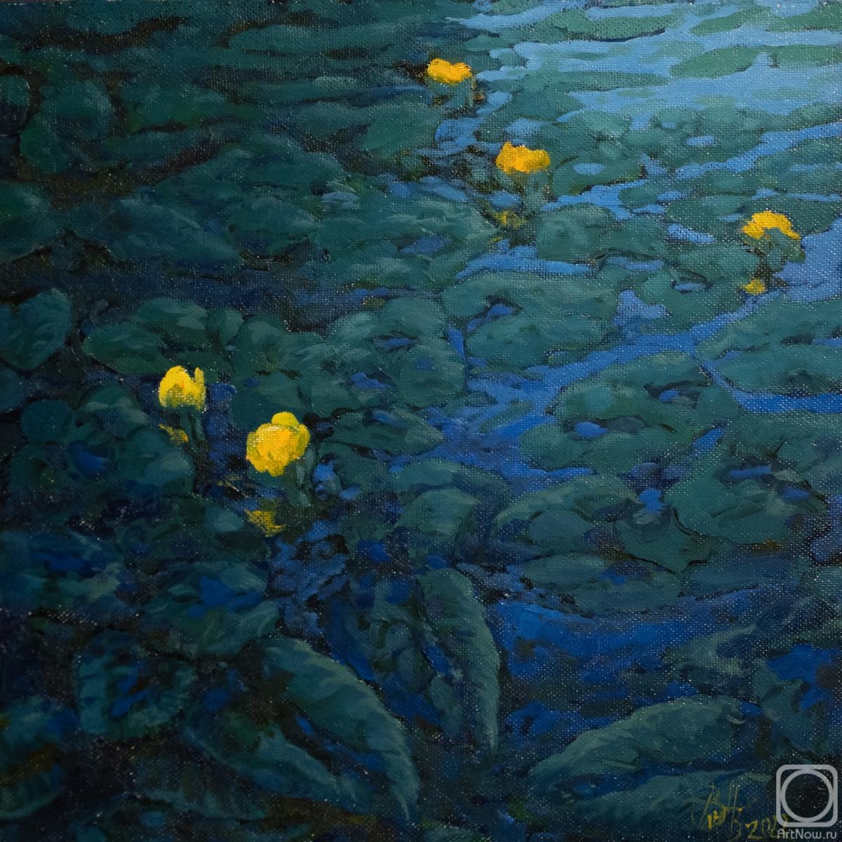 Nazarenko Valentin. Water lilies